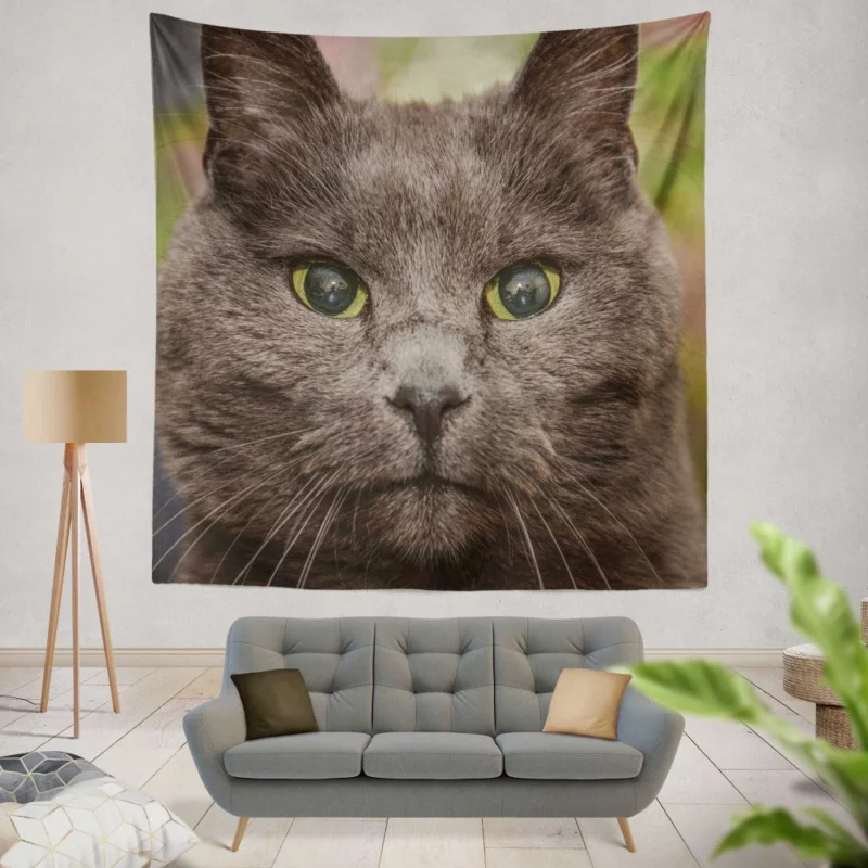 Intense Cat Stare Mesmerizing Mystery Wall Hanging Tapestry