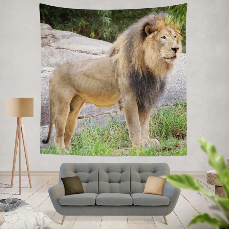 Intense Stare Lion Majesty Wall Hanging Tapestry