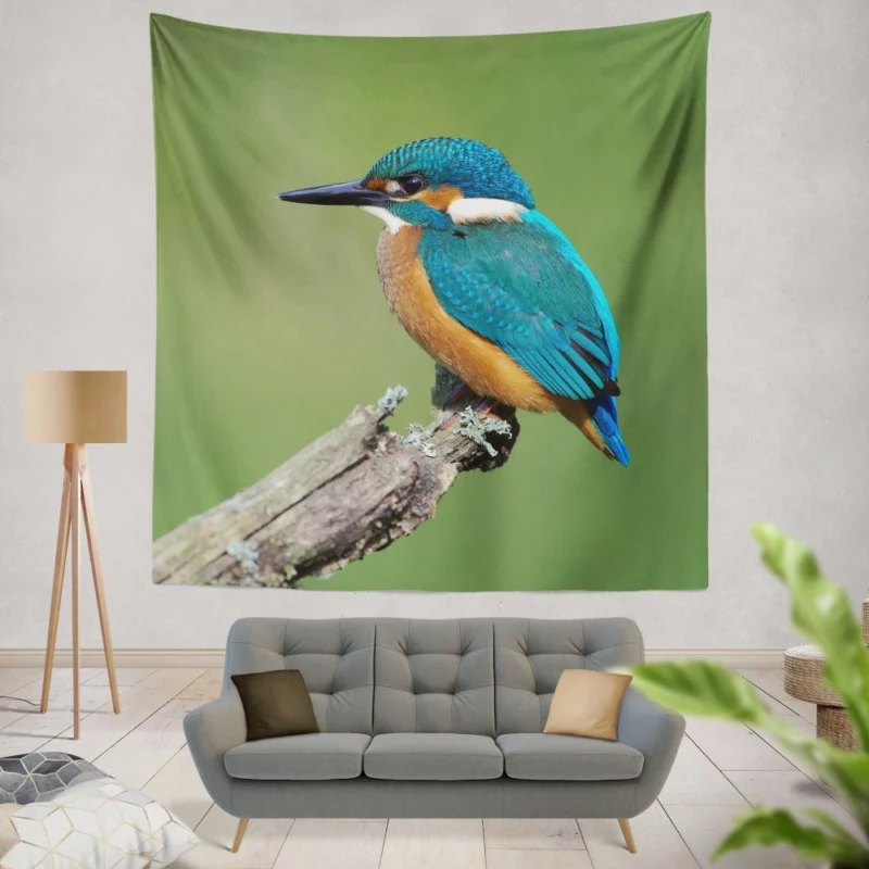 Kingfisher Aquatic Gaze River Watch Wall Hanging Tapestry