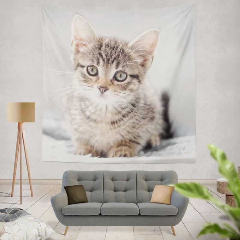 Kitten Enigmatic Stare Whimsical Beauty Wall Hanging Tapestry