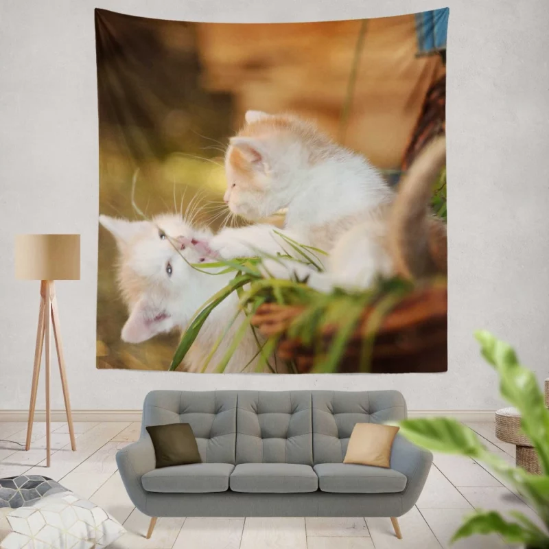 Kitten Innocent Gaze Feline Curiosity Wall Hanging Tapestry