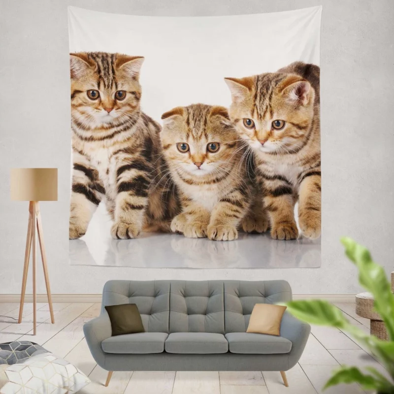 Kitten Innocent Gaze Furry Curiosity Wall Hanging Tapestry