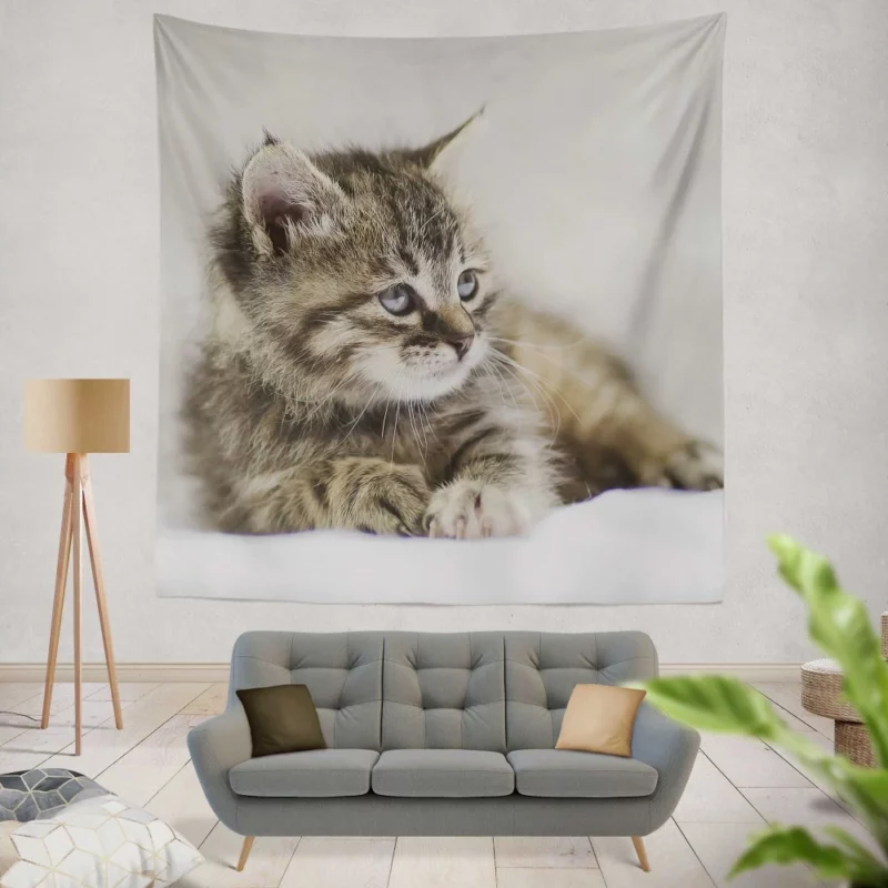 Kitten Innocent Stare Baby Delight Wall Hanging Tapestry