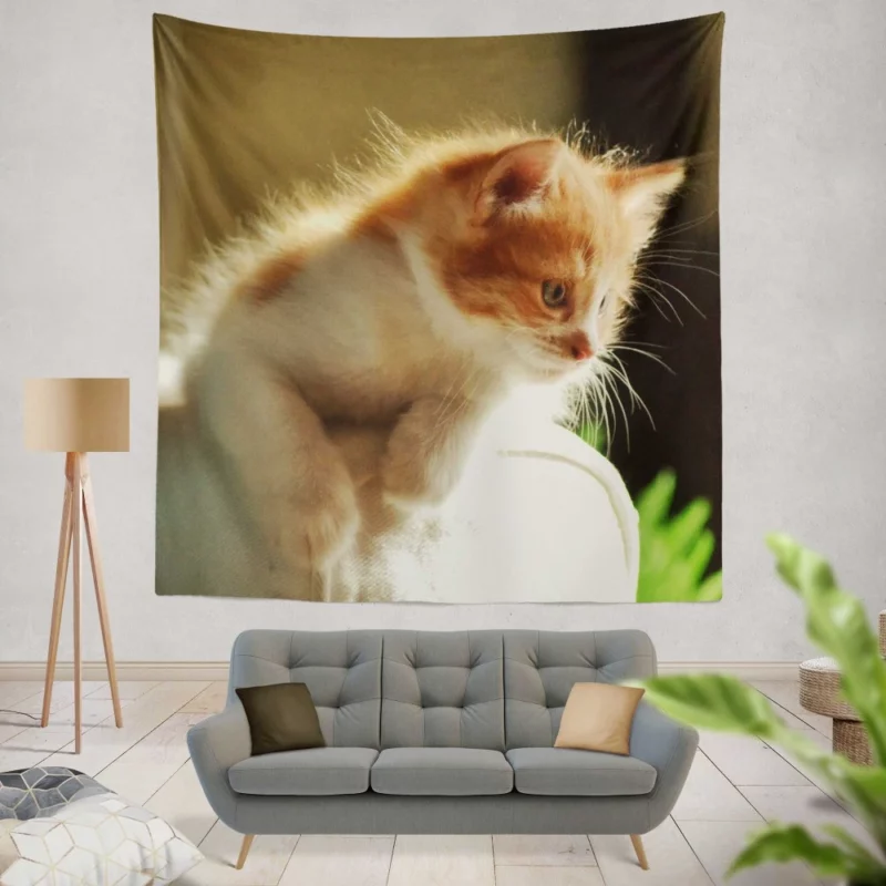 Kitten Innocent Stare Captivating Curiosity Wall Hanging Tapestry