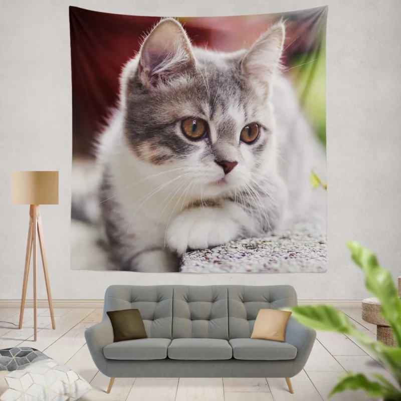 Kitten Mysterious Depth Baby Innocence Wall Hanging Tapestry