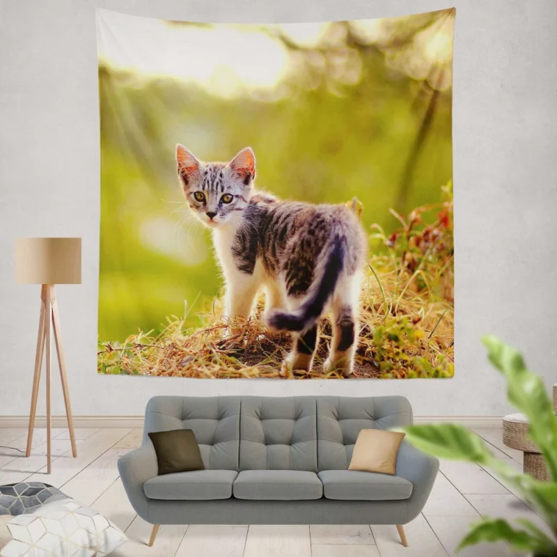 Kitten Play in the Grass Wall Hanging Tapestry