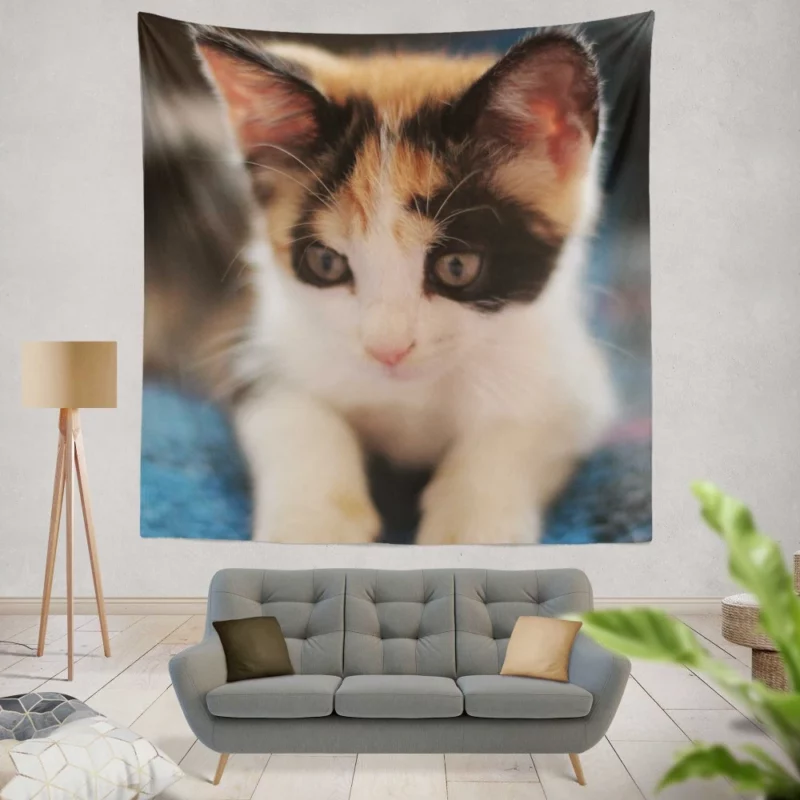 Kitten Playful Antics Innocent Joy Wall Hanging Tapestry