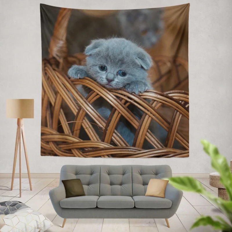 Kitten in Basket Baby Innocence Wall Hanging Tapestry