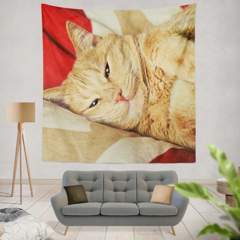 Kolyan Kolyanich Whiskered Appeal Wall Hanging Tapestry