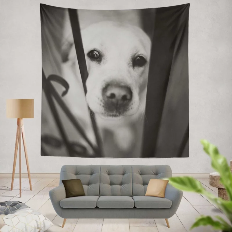 Labrador Black & White Beauty Muzzle Marvel Wall Hanging Tapestry