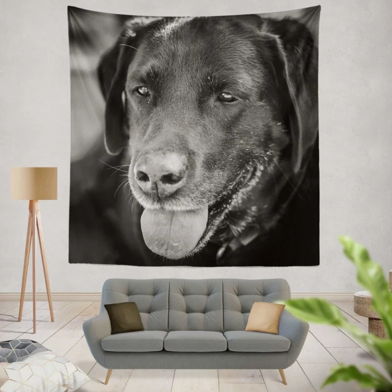 Labrador Inquisitive Stare Canine Persona Wall Hanging Tapestry