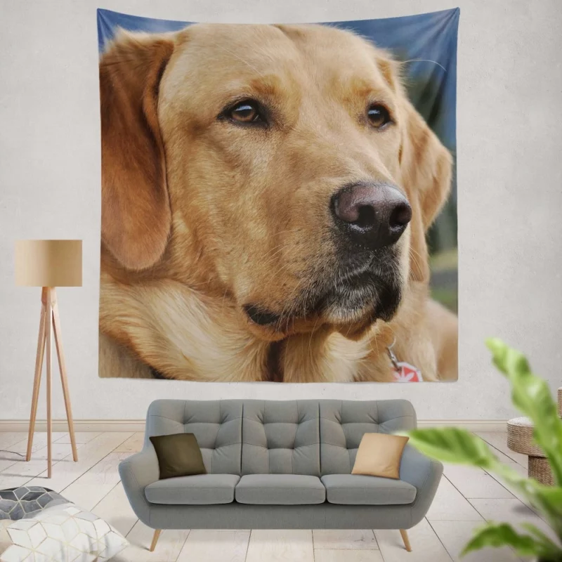 Labrador Playful Energy Wall Hanging Tapestry