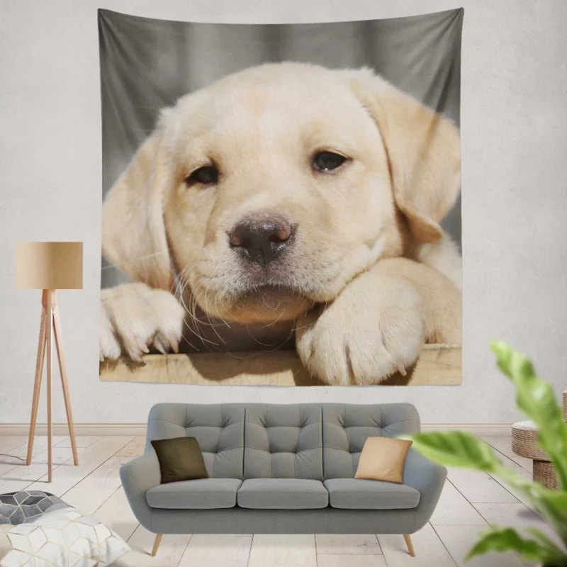 Labrador Puppy Innocent Appeal Fuzzy Delight Wall Hanging Tapestry