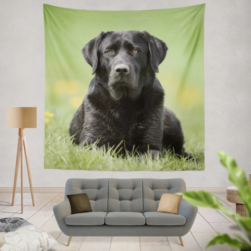 Labrador Retriever Depth of Field Grace Wall Hanging Tapestry