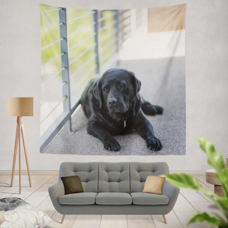 Labrador Retriever Loyal Stare Canine Devotion Wall Hanging Tapestry