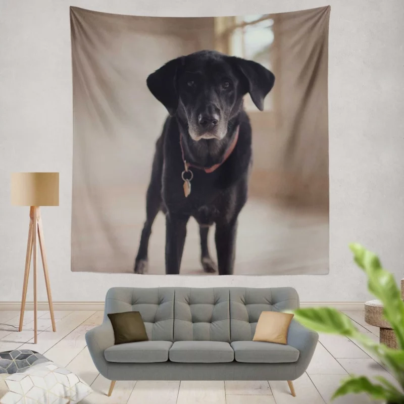 Labrador Thoughtful Gaze Canine Contemplation Wall Hanging Tapestry