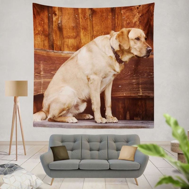 Labrador on Bench Serene Presence Wall Hanging Tapestry