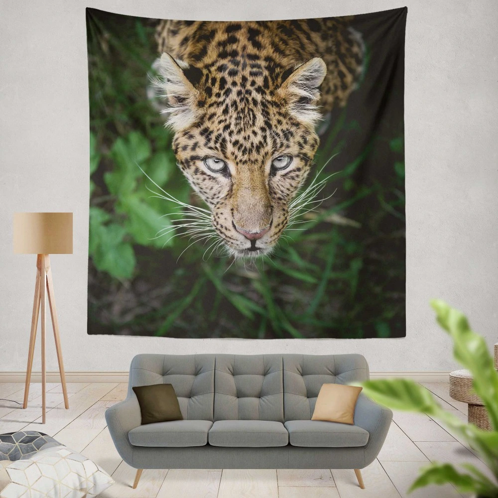 Leopard Intense Stare Enigmatic Power Wall Hanging Tapestry