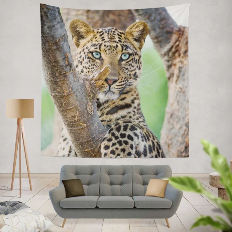 Leopard Majestic Perch Regal Stare Wall Hanging Tapestry