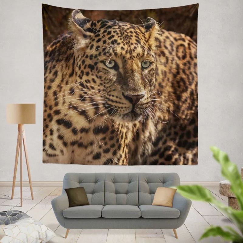 Leopard Power Wall Hanging Tapestry