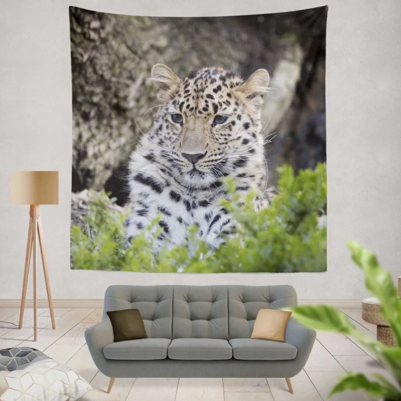 Leopard Powerful Wall Hanging Tapestry