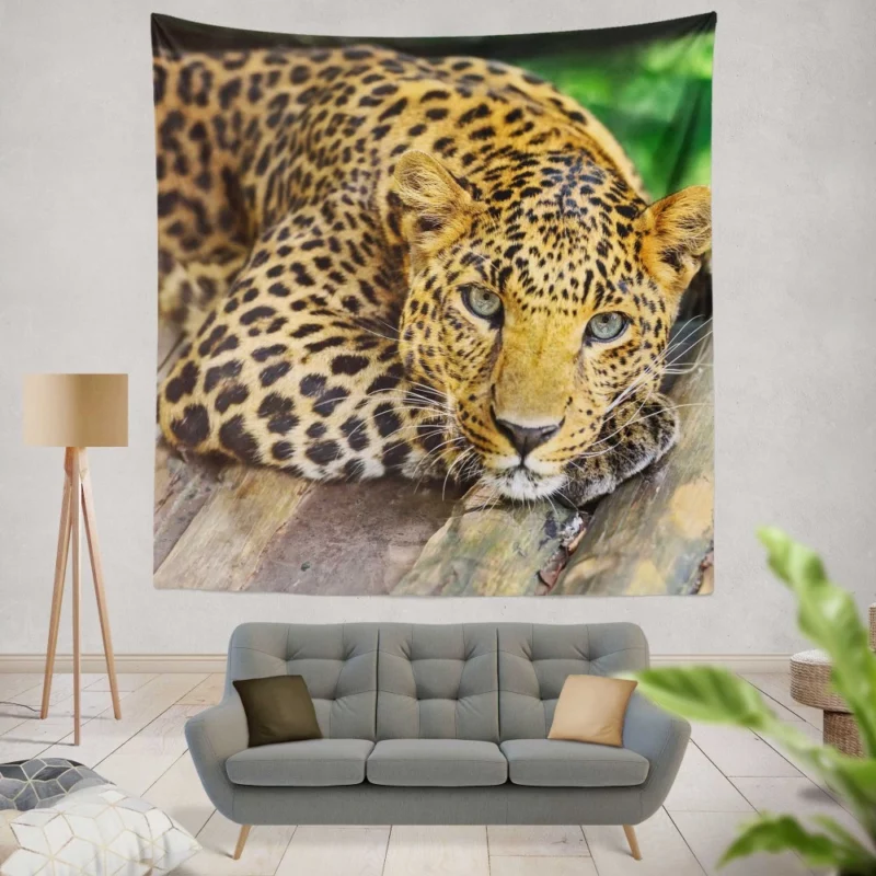 Leopard Wilderness Elegance Wall Hanging Tapestry