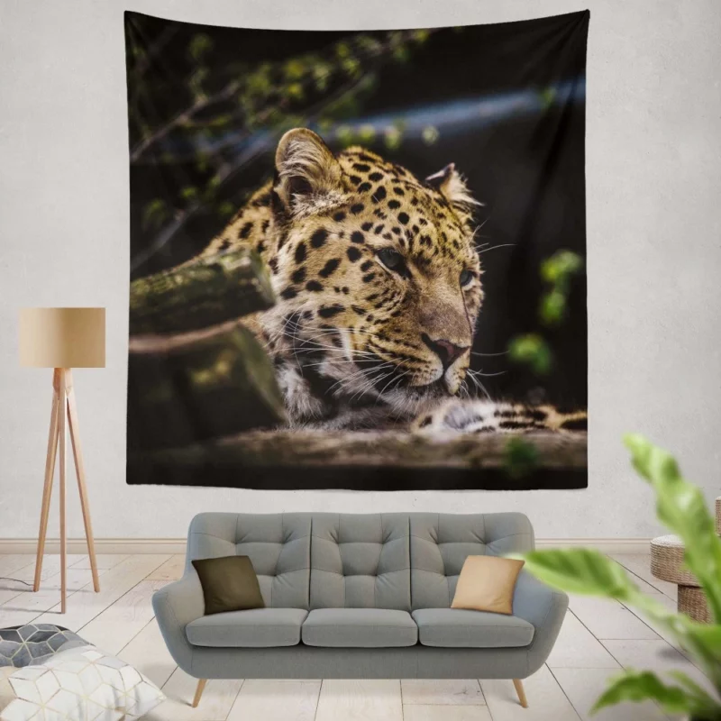 Leopard in Zoo Wild Majesty Wall Hanging Tapestry