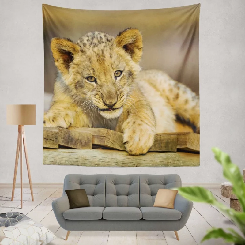 Lion Cub Innocence Wilderness Wonder Wall Hanging Tapestry