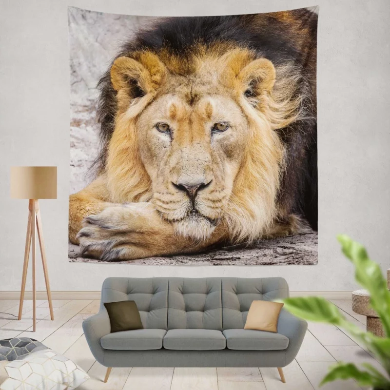 Lion Gaze into Wilderness Wall Hanging Tapestry