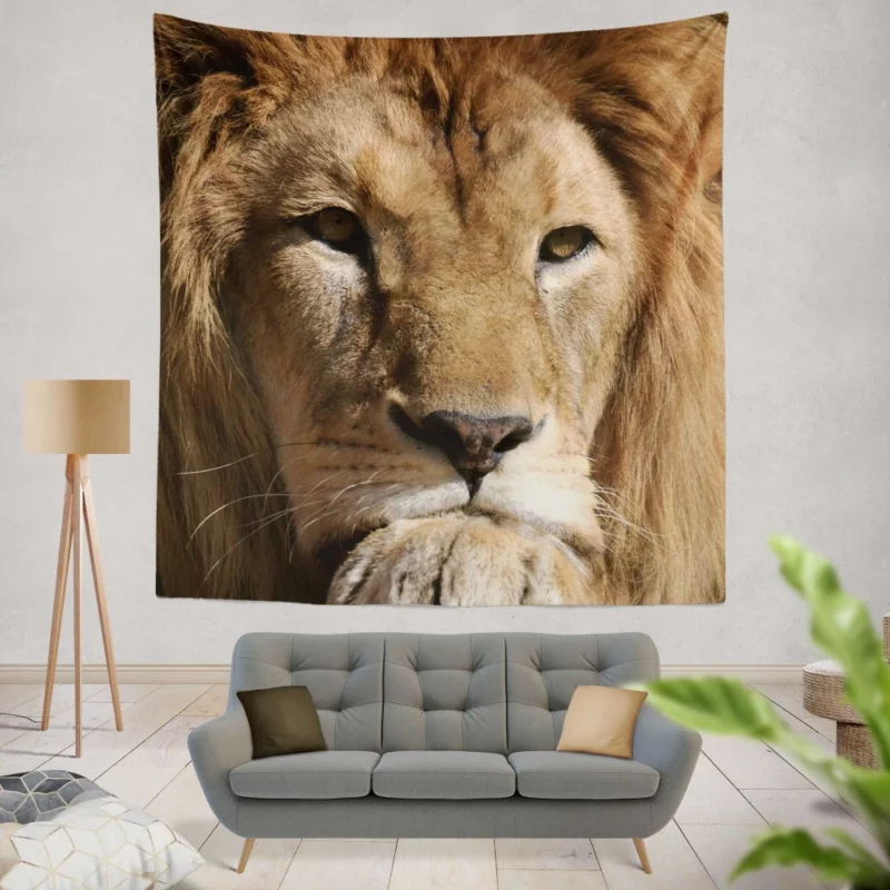 Lion Intense Close-Up Regal Power Wall Hanging Tapestry