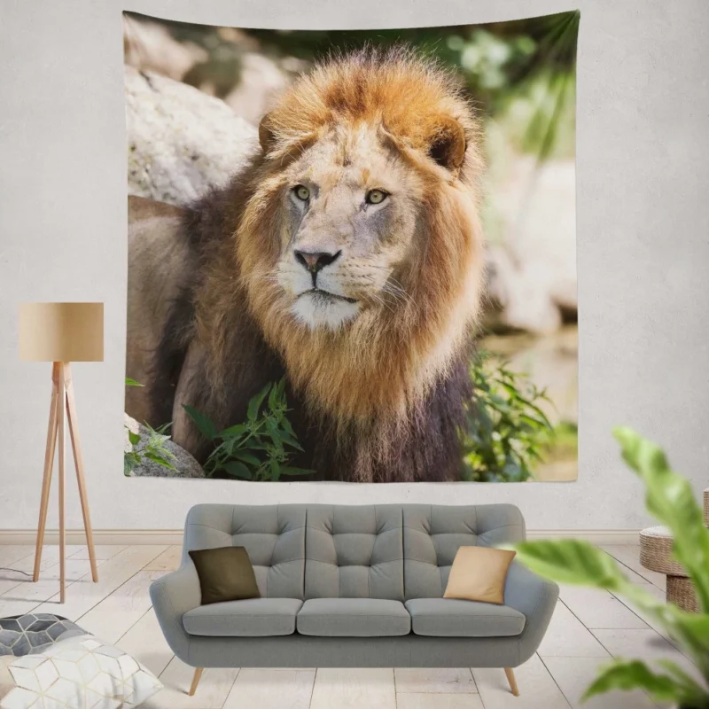 Lion Majestic Gaze Wilderness King Wall Hanging Tapestry