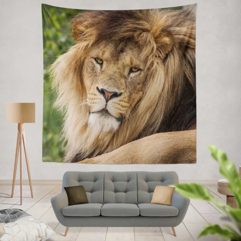 Lion Majestic Stare Black & White Serenity Wall Hanging Tapestry