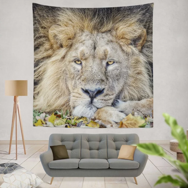 Lion Rest Regal Serenity Wall Hanging Tapestry