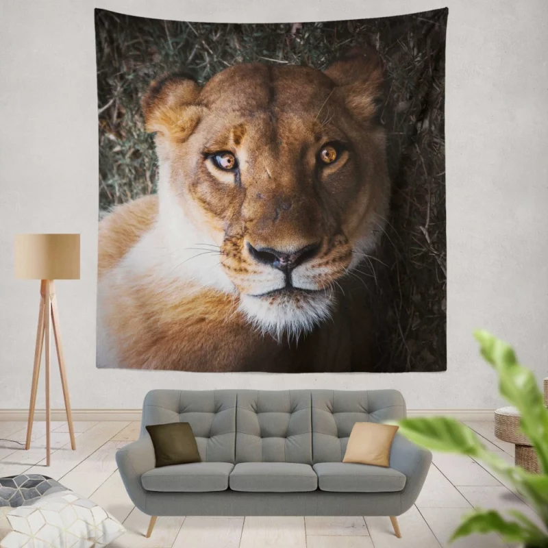 Lioness Intense Gaze Up Close Wall Hanging Tapestry