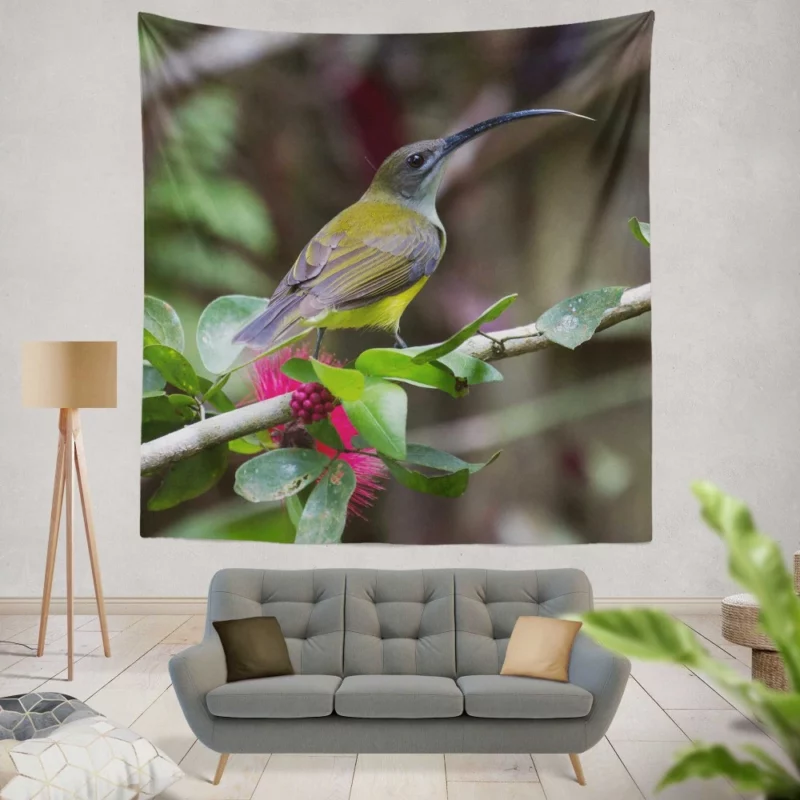 Little Spiderhunter Borneo Adventure Tropical Bird Wall Hanging Tapestry