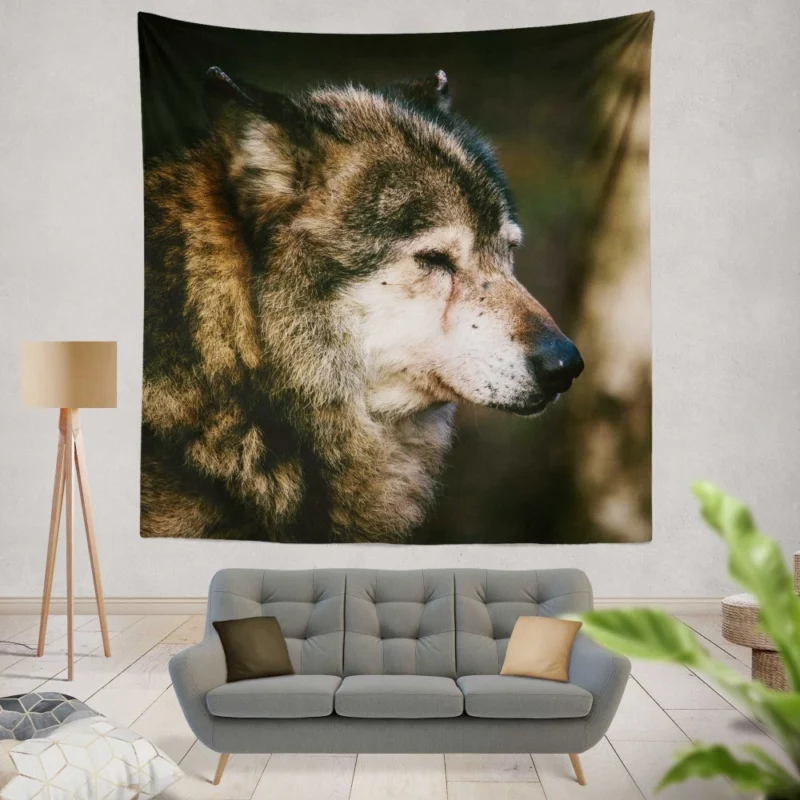 Lone Wolf Gaze Enigmatic Wilderness Wall Hanging Tapestry