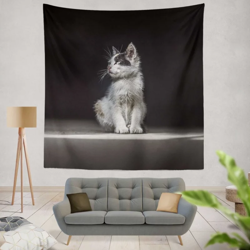 Lonely Kitten Captivating Portrait Wall Hanging Tapestry