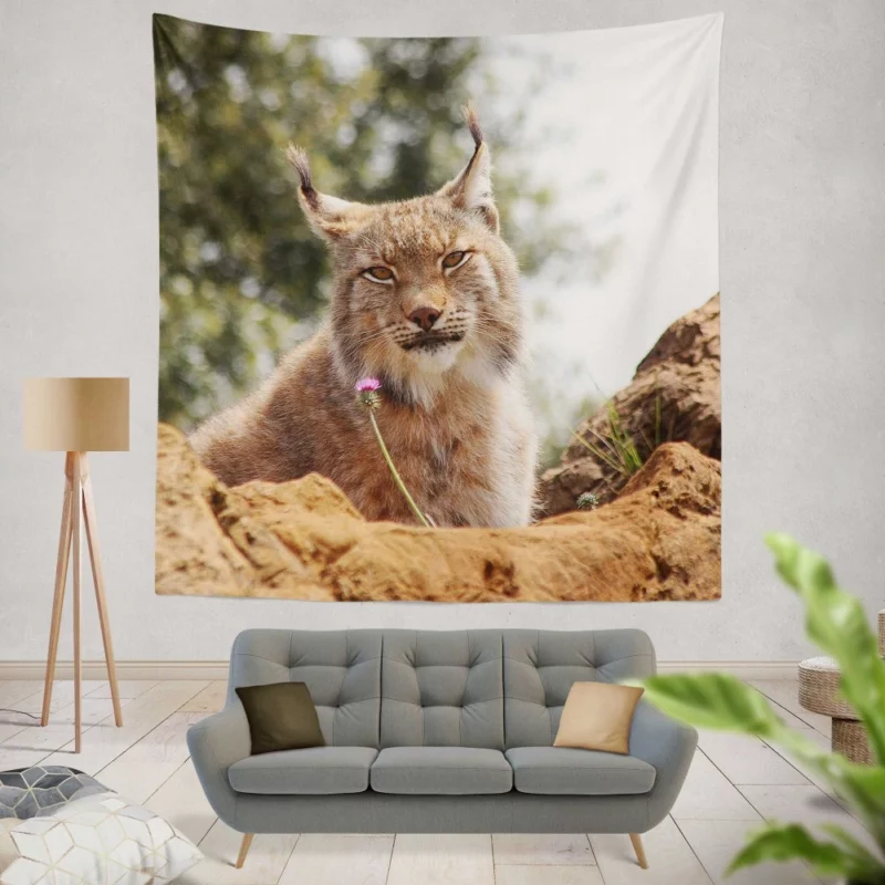 Lynx Bokeh Gaze Enigmatic Wilderness Wall Hanging Tapestry