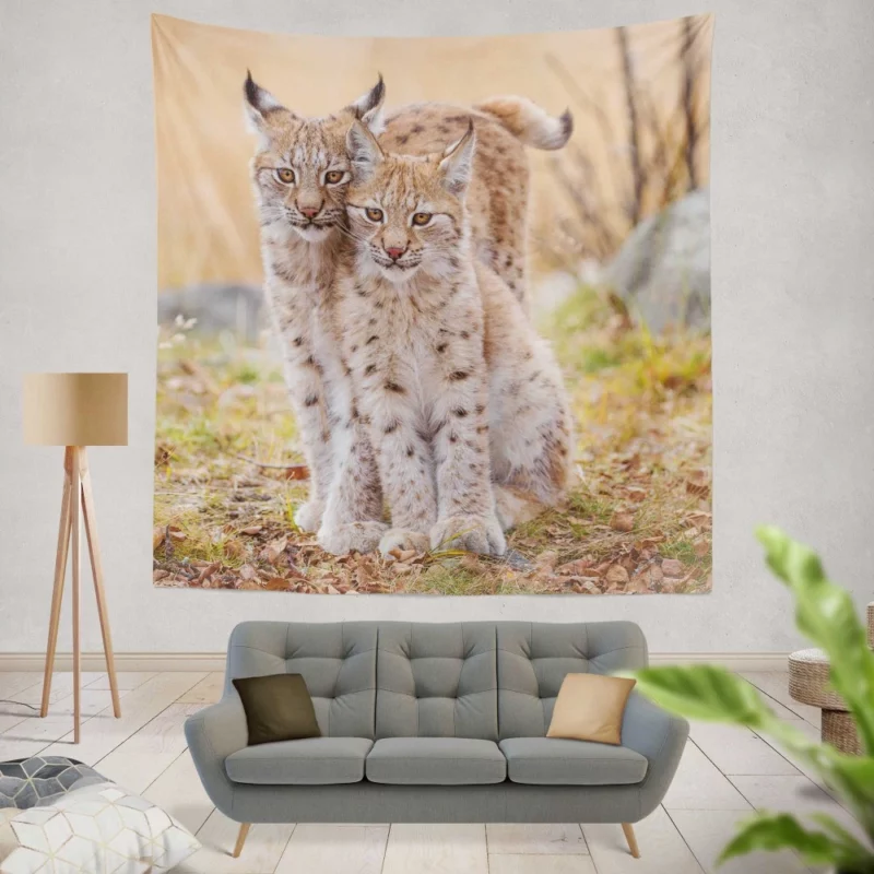 Lynx Cub Baby Innocence Wilderness Wonder Wall Hanging Tapestry