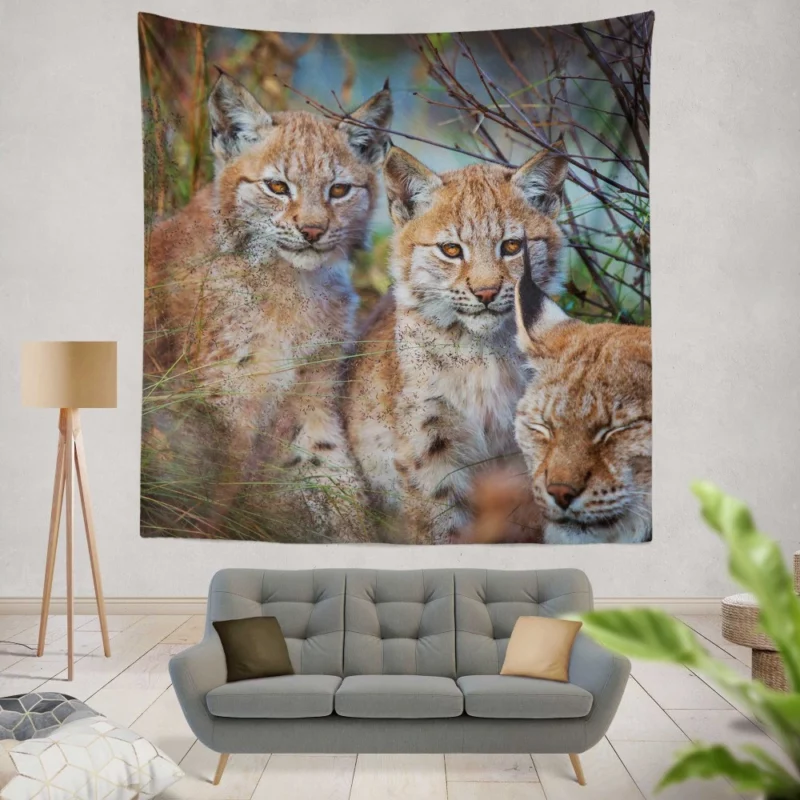 Lynx Cub Playful Innocence Wall Hanging Tapestry