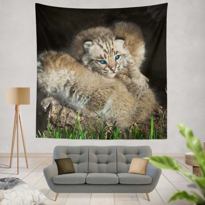 Lynx Cubs Playful Innocence Wall Hanging Tapestry