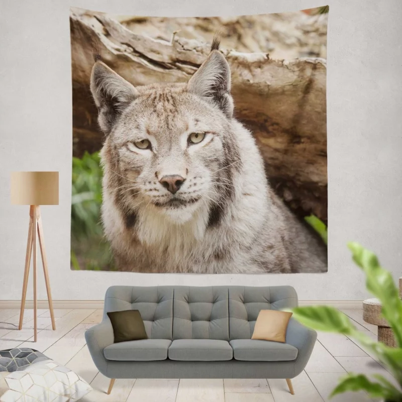 Lynx Enigmatic Beauty Wilderness Charm Wall Hanging Tapestry