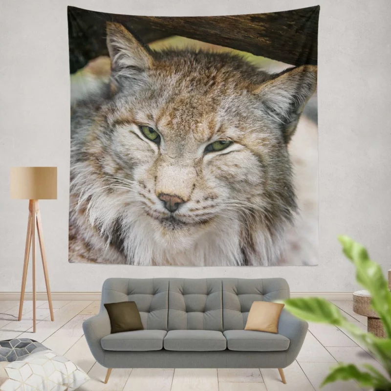 Lynx Enigmatic Stare Wilderness Elegance Wall Hanging Tapestry