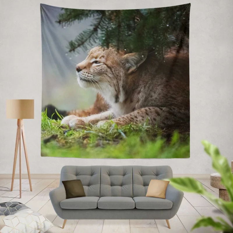 Lynx Enigmatic Stare Wilderness Gaze Wall Hanging Tapestry