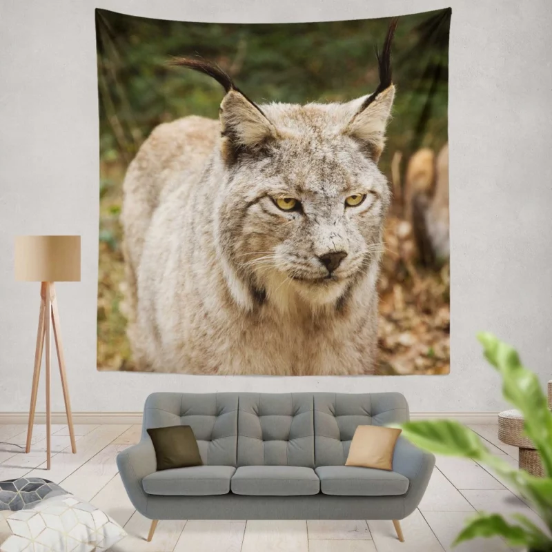 Lynx Wilderness Gaze Stealthy Intrigue Wall Hanging Tapestry