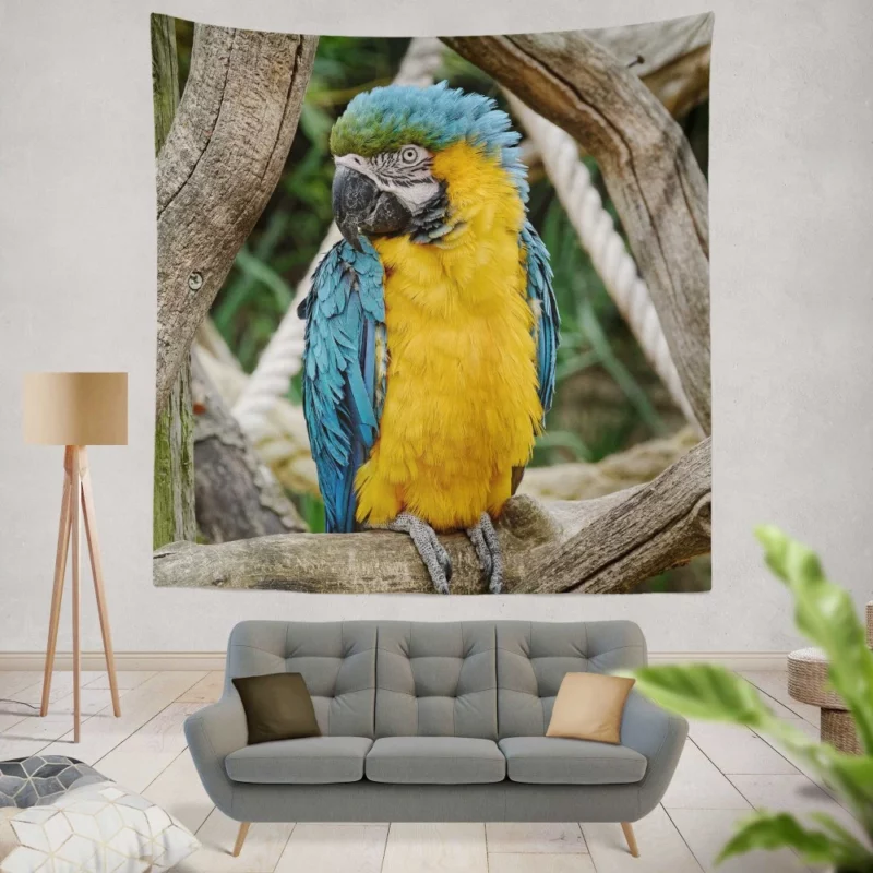 Macaw Vibrant Stance Tropical Splendor Wall Hanging Tapestry