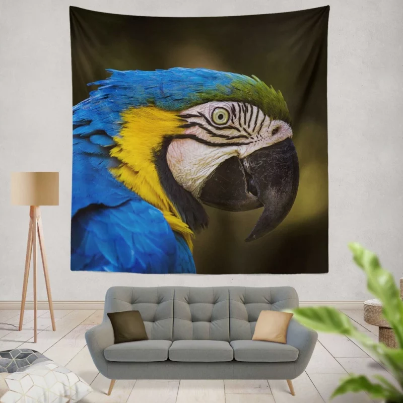 Macaw Vibrant Stare Close-Up Beauty Wall Hanging Tapestry