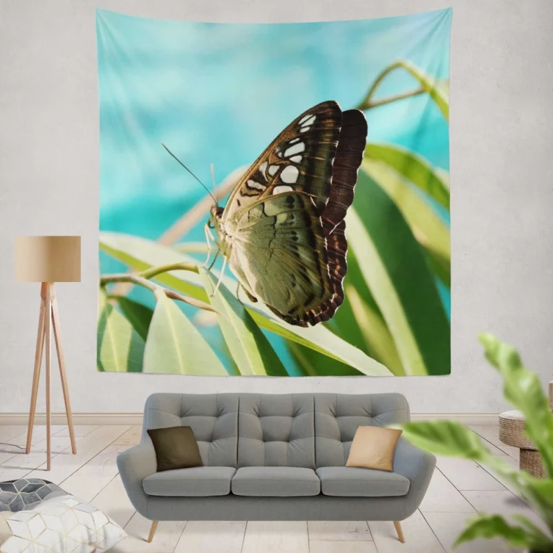 Macro Butterfly Delicate Insect Beauty Wall Hanging Tapestry