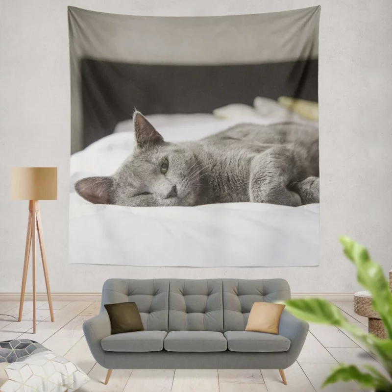 Majestic Cat Alluring Gaze Wall Hanging Tapestry