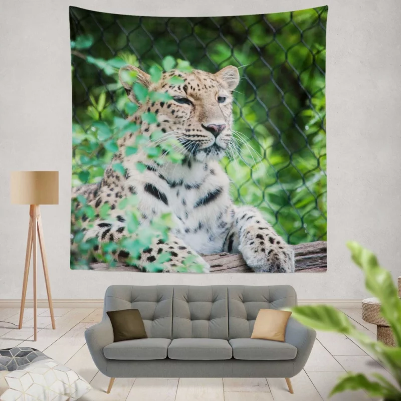 Majestic Leopard Stance Wild Grace Wall Hanging Tapestry